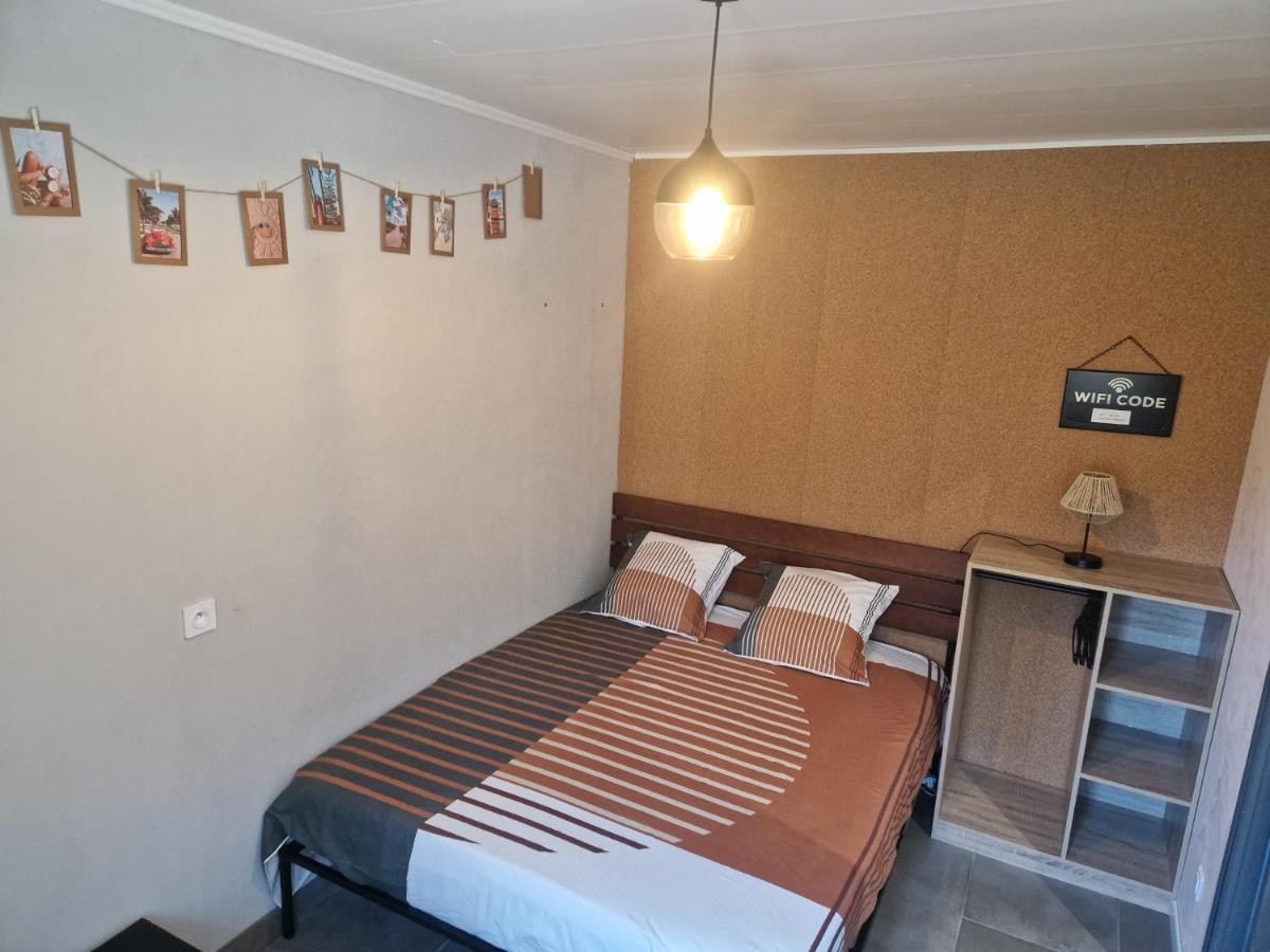 Appartement Independant Dans Maison Avec Jardinet, Au Calme Sérézin-du-Rhône المظهر الخارجي الصورة