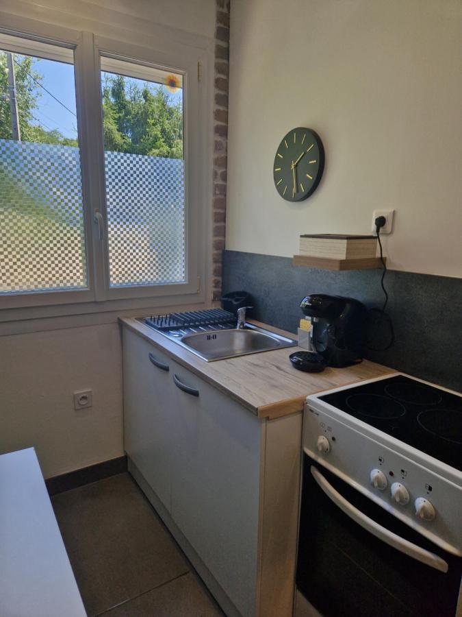 Appartement Independant Dans Maison Avec Jardinet, Au Calme Sérézin-du-Rhône المظهر الخارجي الصورة