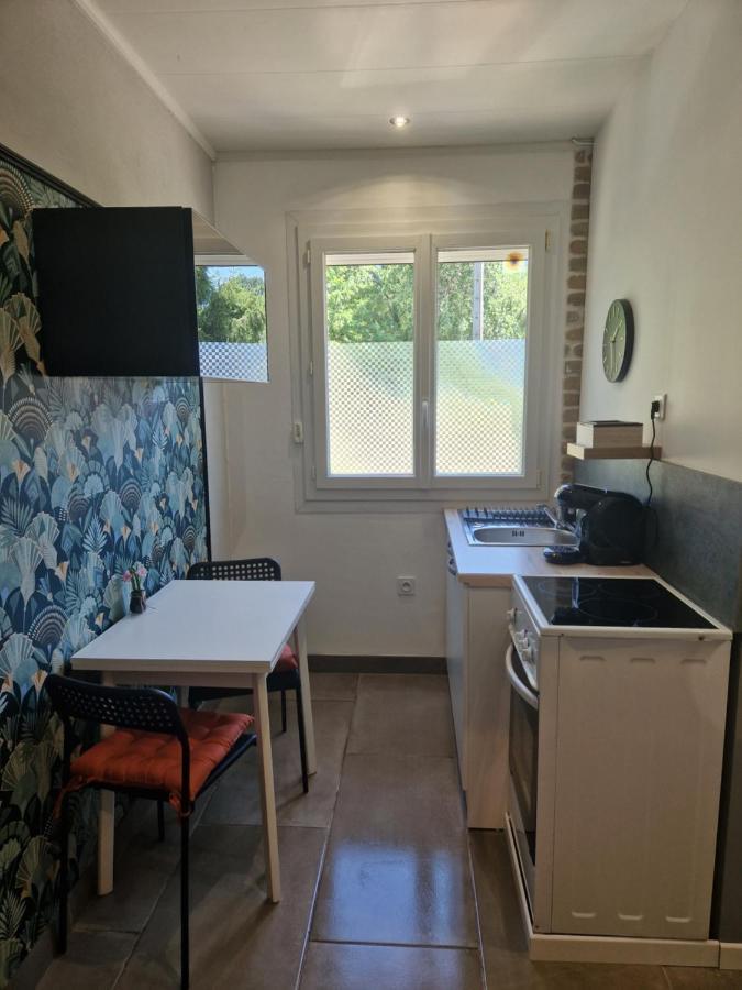 Appartement Independant Dans Maison Avec Jardinet, Au Calme Sérézin-du-Rhône المظهر الخارجي الصورة